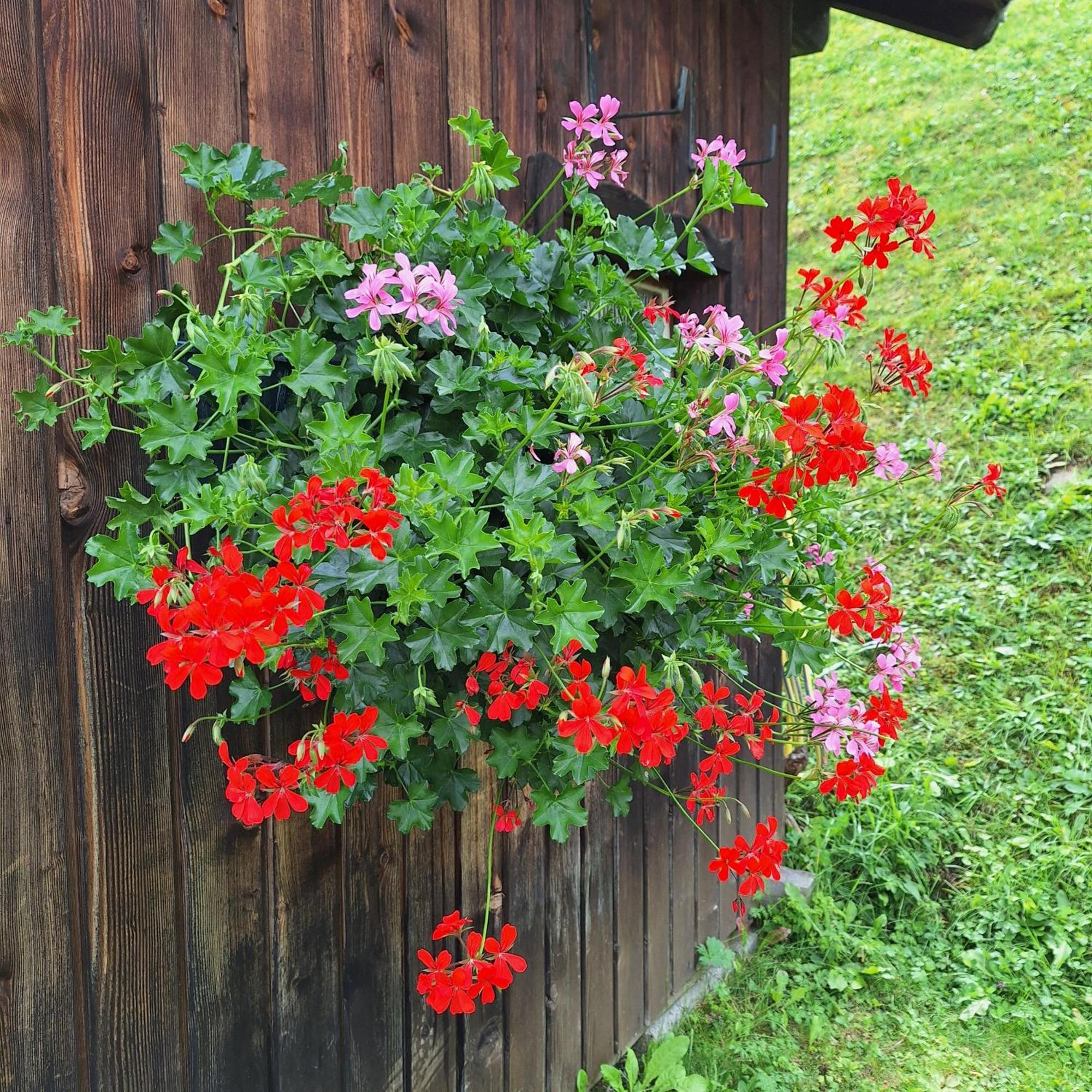Apartment Romana Selva di Val Gardena Exteriér fotografie